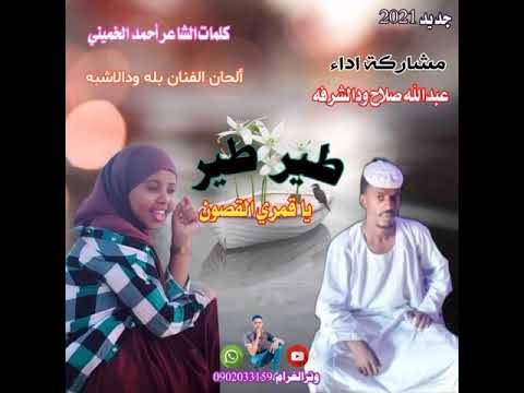 جديد الفنان عبد الله صلاح ودالشرفه طير طير قمري القصون جديد الفنان عبد الله صلاح ودالشرفه طير طير قمري القصون