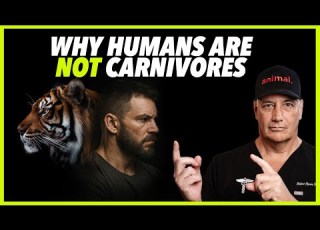  WHY HUMANS ARE NOT CARNIVORES