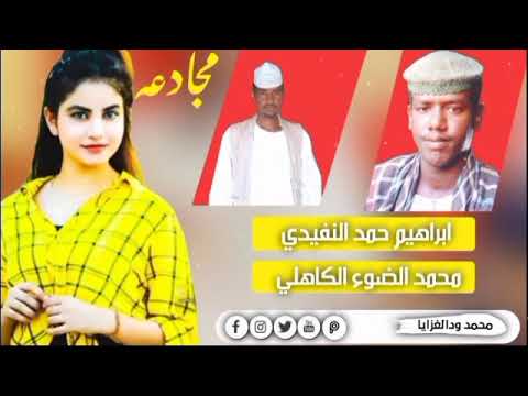 الشاعر ابراهيم حمد النفيدي