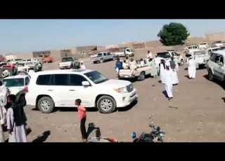  بني جرار والشكرية القردود