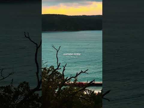 Kaldım Kara Bulut Ardina ترجمة Istanbul اكسبلور Musiclyrics Songlyrics Music تصميمي Lyrics