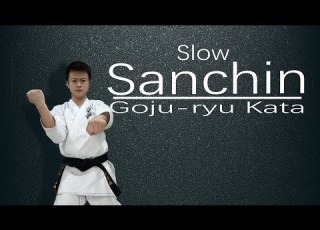  Goju Ryu Kata Sanchin Slow