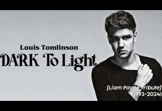 Louis Tomlinson Dark To Light Lyrics Liam Payne Tribute