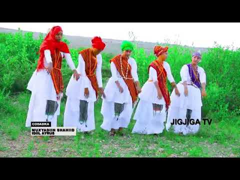 Muxyeshaahid Dhaanto Macan