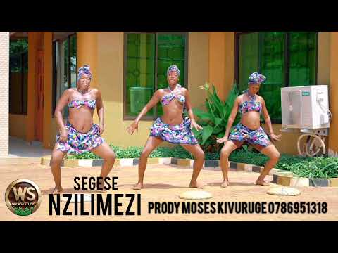Segese Nzilimezi Prod Moses Touch 255 786 951 318