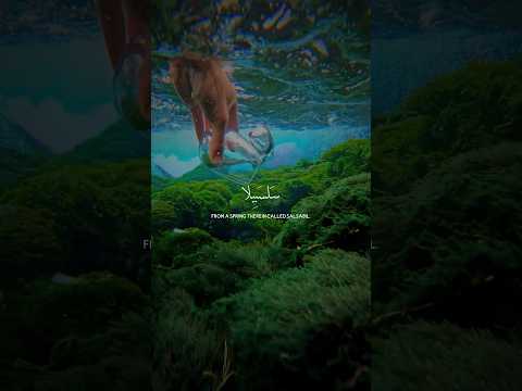 كان مزاجها زنجبيلا تصميمي قران كريم اكسبلور دينيه Lifeisbutadream راحة نفسية حالات واتس كان مزاجها زنجبيلا تصميمي قران كريم اكسبلور دينيه Lifeisbutadream راحة نفسية حالات واتس