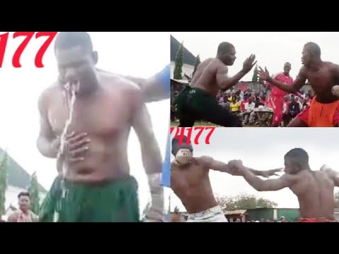 Shagon Yalo Dan Suru Yasa Kato Amai Manun Garkuwan Cindo Da Tulan Shagon Tuwo Sunyi Baƙin Dambe Shagon Yalo Dan Suru Yasa Kato Amai Manun Garkuwan Cindo Da Tulan Shagon Tuwo Sunyi Baƙin Dambe