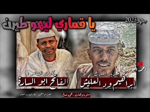 جديد الفنان ابراهيم ود العليش يا قماري ليهو طيرن كلمات الشاعر الفاتح ابو السارة NEW 2023 جديد الفنان ابراهيم ود العليش يا قماري ليهو طيرن كلمات الشاعر الفاتح ابو السارة NEW 2023
