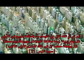  ألم تر أن الله أنزل من السماء ماء الشيخ ياسر الدوسري أفضل وأجمل تلاوة حالات واتس