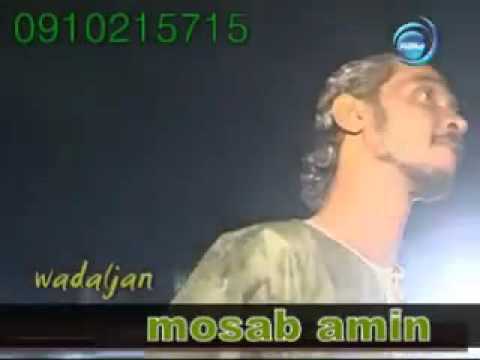 حائر اللب محمود عبد العزيز Mahmoud Abdel Aziz حائر اللب محمود عبد العزيز Mahmoud Abdel Aziz