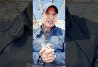 فلم سٹار اور سٹیج اداکارہ نرگس کو فون کیا تو کیا جواب ملا