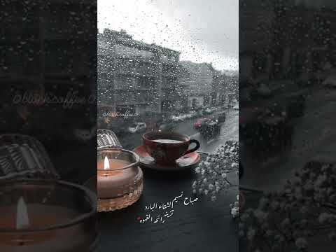 صباح الخير صباح المطر حالات الواتس اب