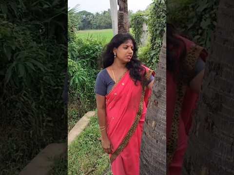 Aasaiyilapaathikatti Ilaiyaraaja Gankaiamaren Psusheela Mano Engaoorukavakaran Shinysinger