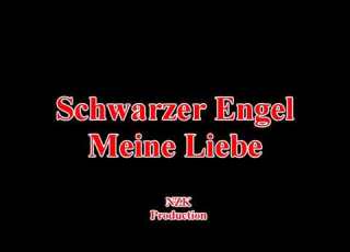 Schwarzer Engel Meine Liebe Lyrics