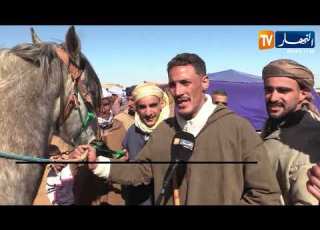  Tiaret The Oldest Horse Market A Destination For Those Interested In Horse Breeding