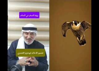  Seeing A Falcon In A Dream