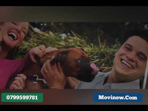 Dj Mack Movies Mpya 2026 IMETAFSIRIWA KISWAHILI