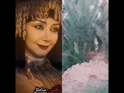 المراه مني تحب كتاب من قلبه وتحب بي صدق ولا كرهت كره بي صادق مرا قلبه هشياش الحنيان