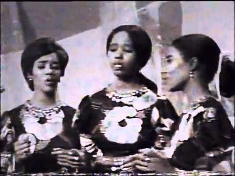 عشه صغيره البلابل عشه صغيره البلابل