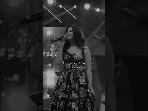 حبيتو بيني وبين نفسي شيرين على بالي شيرين شرين اكسبلور شيرين عبدالوهاب Sherine Explore