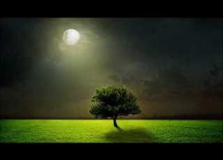  Jim Guthrie J J Ipsen The Light In Us All