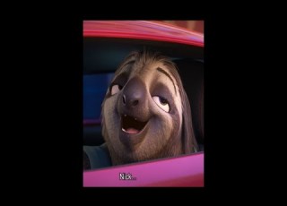  Did You Know In The Movie Zootopia Slowloris Cartoon