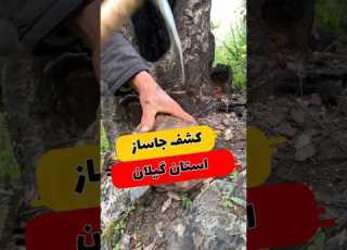  کشف گنج دفینه باستانی جاساز در استان گیلان طلایاب گنج فلزیاب گنجیاب دفینه گنجینه
