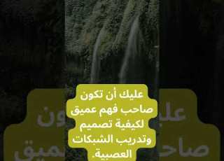  رحلة من الاكتشاف الي الفهم علم الشبكات العصبية