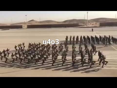 الامن الدبلوماسي