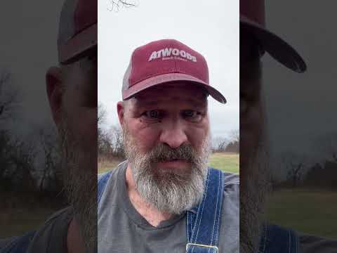 Das Ist Einfach Cool