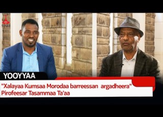 Xalayaa Kumsaa Morodaa Barreessan Argadheera Pirofeesar Tasammaa Ta Aa Etv Ebc Etv Afaan Oromoo