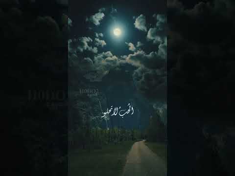 الليل ياليلى يعاتبني