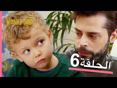 الطيور الجريحة الحلقة الكاملة 6