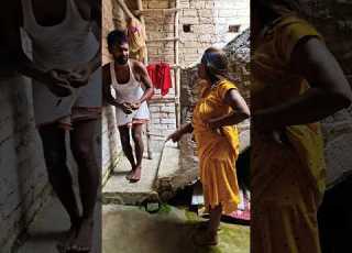 A Disabled Duckling Helps His Cat Friend DuckRescue CuteAnimal AnimalRescue