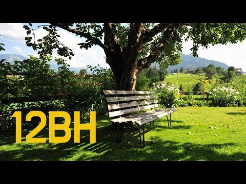 𝐏𝐥𝐚𝐲𝐥𝐢𝐬𝐭 12BH 노래모음ㅣ12BH Playlist