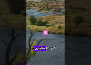 6 علامات تثبت أنك تهدر وقتك في أشياء تافهة