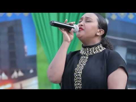 ህመምህ ህመሜ