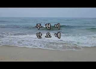  주현미 안오네