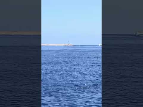 جولة في المنشية ع البحر و بحري