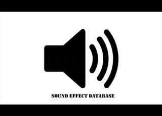  Bee Sound Effect