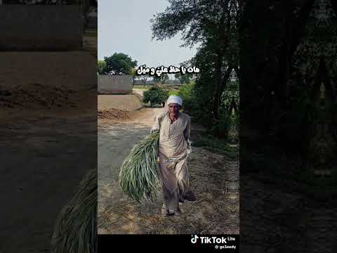 رجعوني تاني عيل