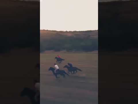 نحن الذين بنينا حصوننا من جماجم رسولنا من صنعنا نحن الذين بنينا حصوننا من جماجم رسولنا من صنعنا