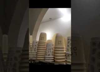 سوان شوكلت الأحساء المبرز البستان مول