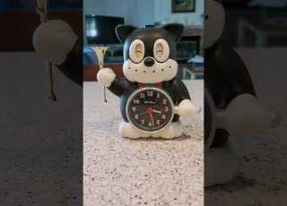  هكذا استيقظت في المدرسة الثانوية قطة منبه شورت