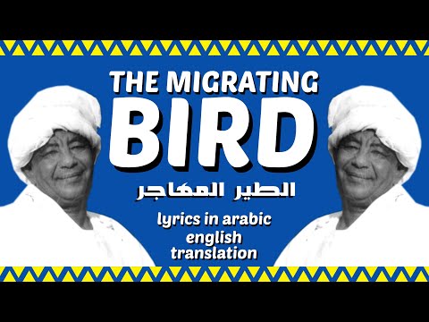 The Migrating Bird الطير المهاجر By Mohammed Wardi English Translation
