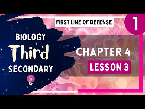 Biology 3rd Secondary Egypt Chapter 4 Lesson 3 P1 First Line Of Defense