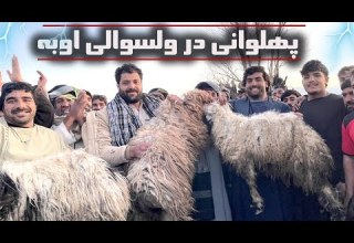 میلاد جمشیدی جاوید احمدی میرویس جمشیدی پهلوانی اوبه روز پنج شنبه ۱۴۰۳ ۱۰ ۲۷