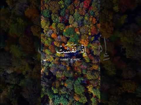 وداود وسليمان إذ يحكمان في الحرث إذ نفشت فيه غنم القوم عبد الباسط عبد الصمد التفسير بالوصف