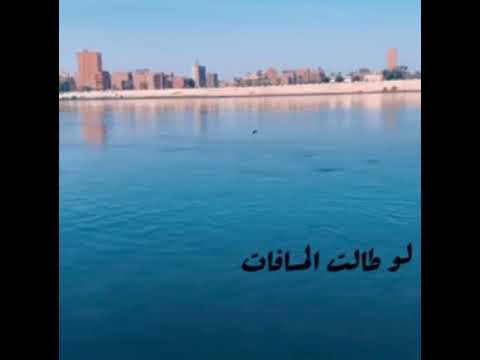 يا قلبي يا موجوع حالة واتس حمزة نمرة