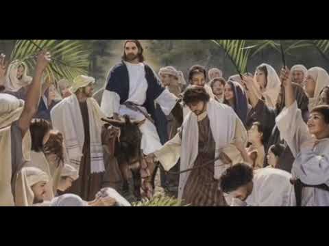 ماعدتش فيه وقت كلمات وأداء أميرة أميرهم مونتاج سامية موسى